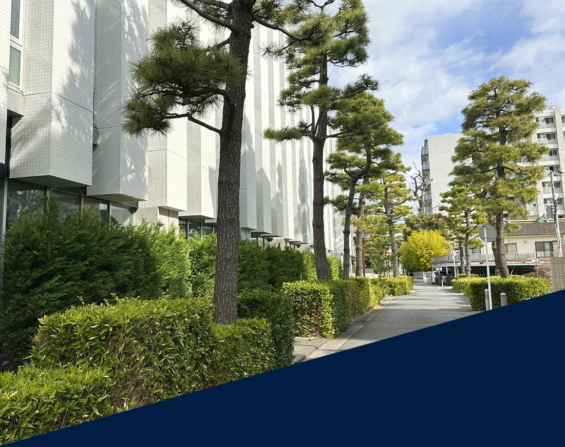 神奈川宿歴史の道