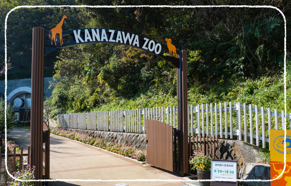 金沢動物園・金沢自然公園