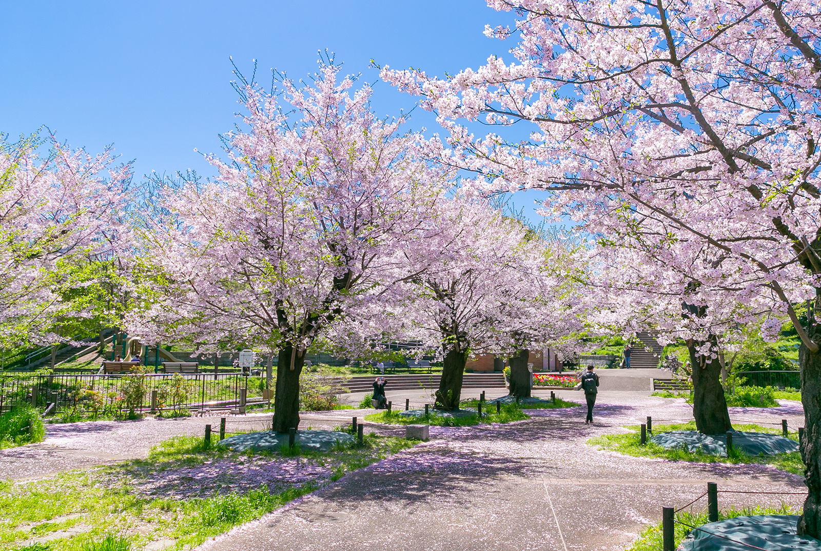幸ケ谷公園