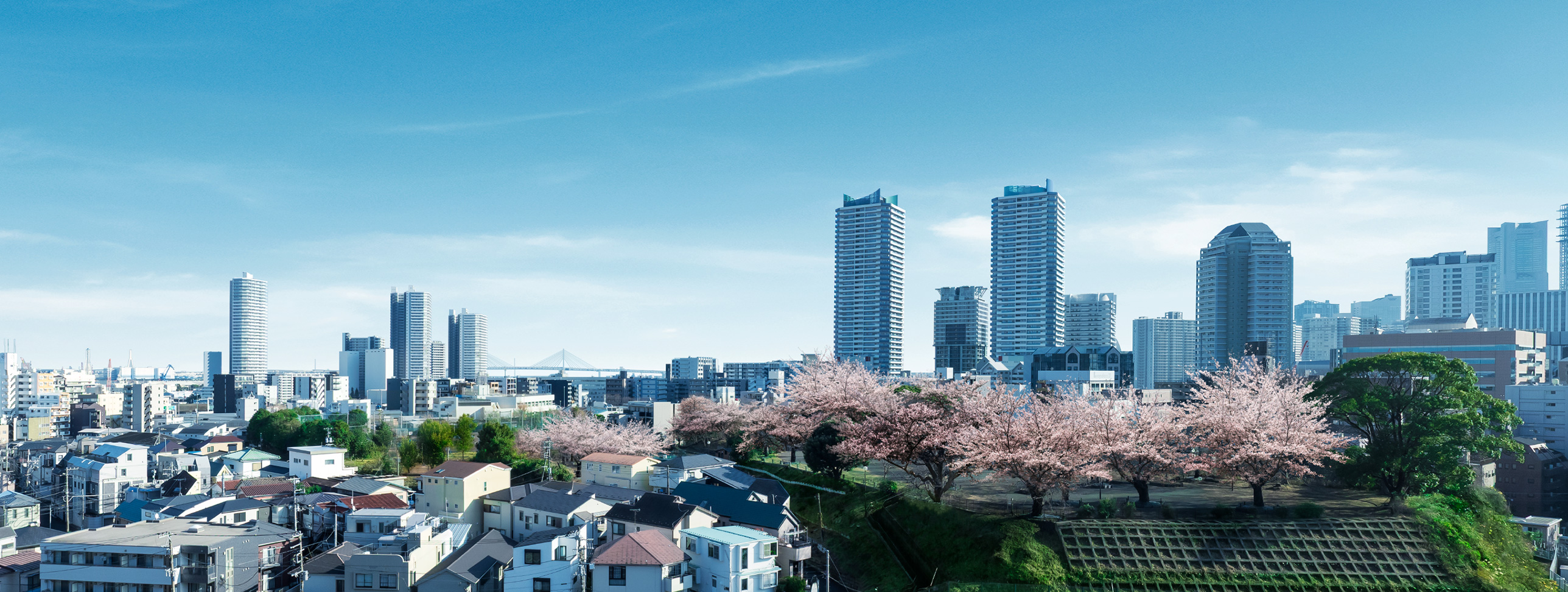現地約27m（9階相当）からの眺望写真（2025年2月撮影）