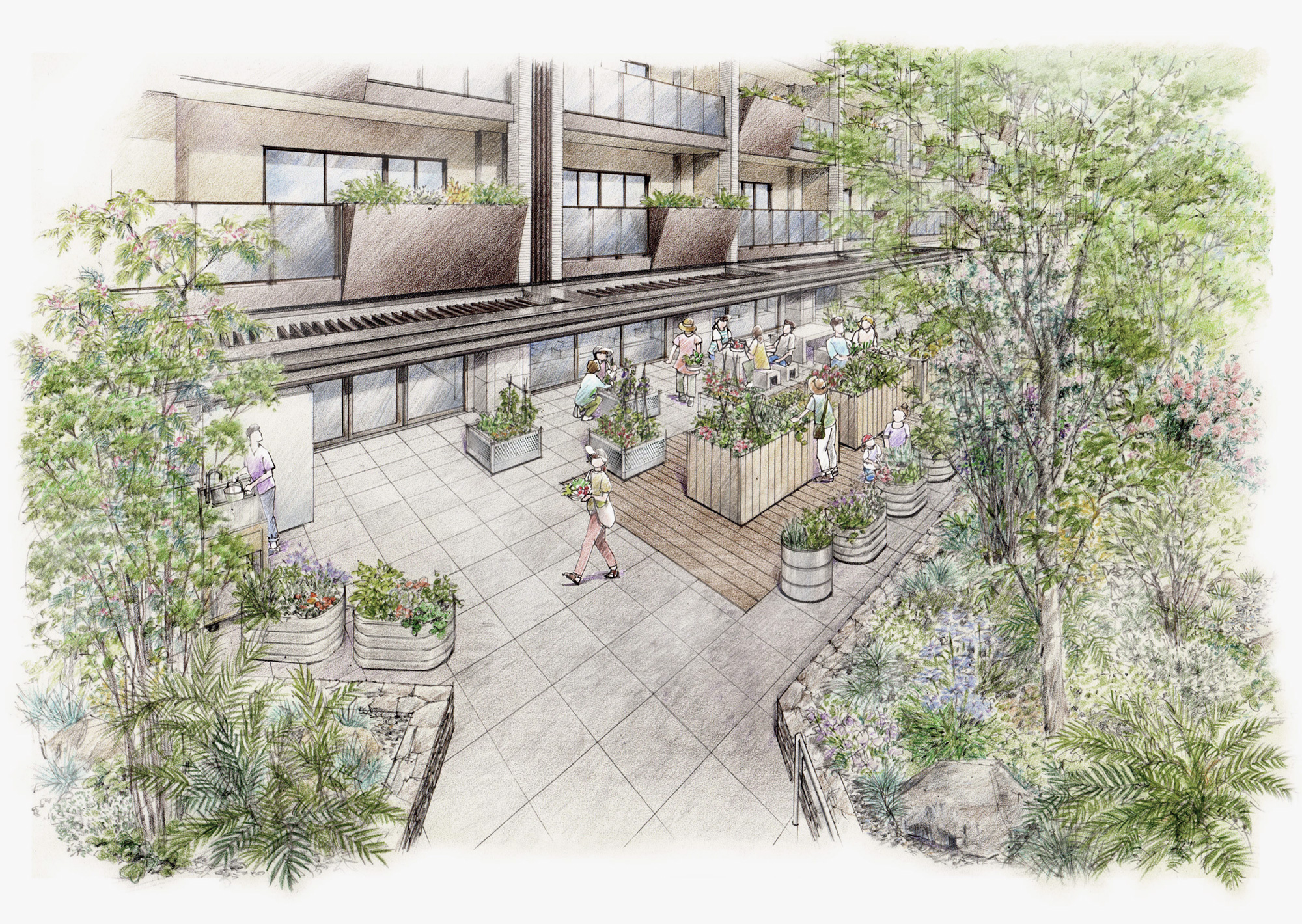 シェア型農園イメージイラスト