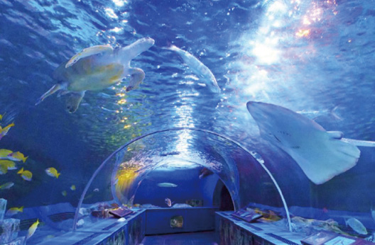 しながわ水族館