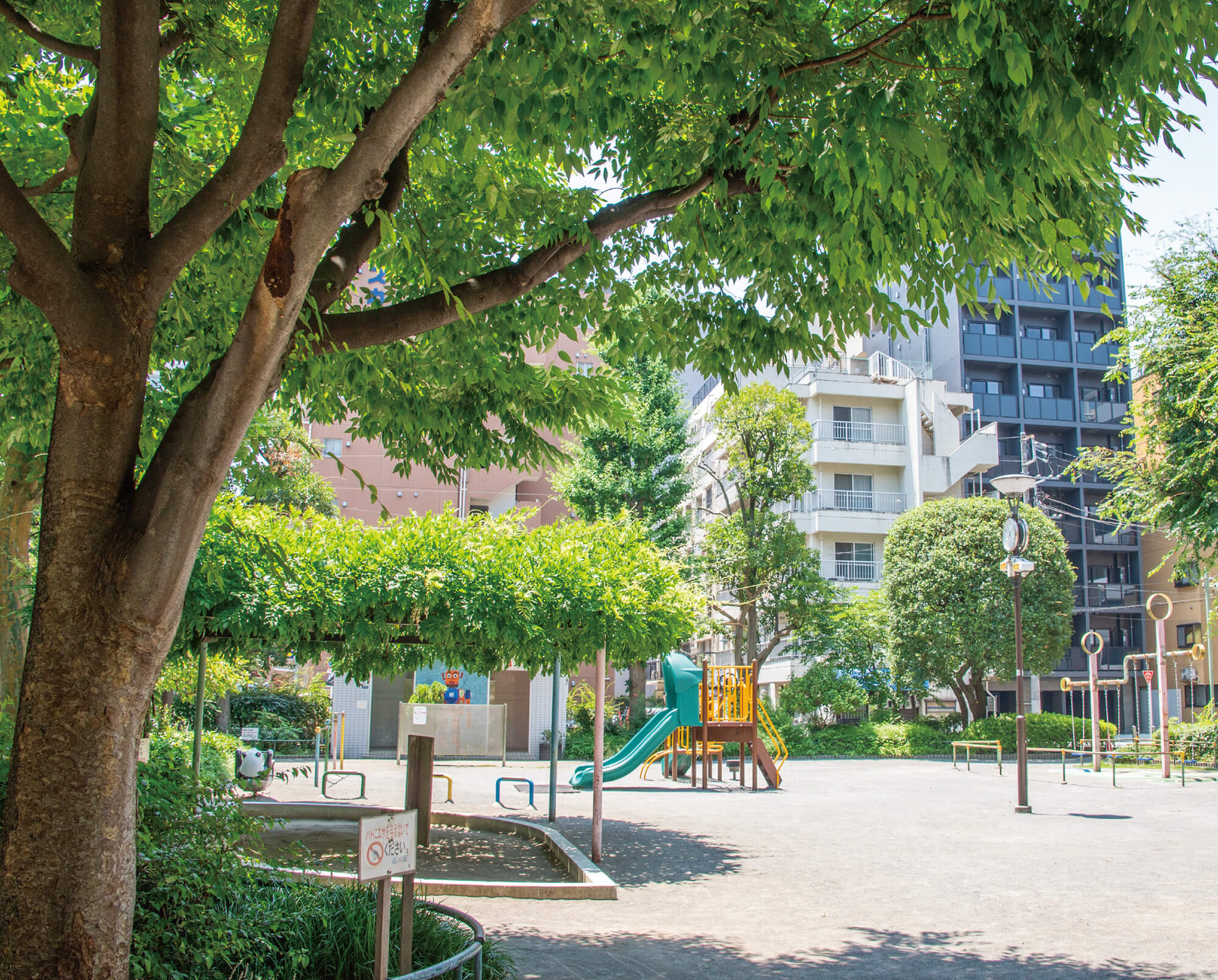 大井海岸公園