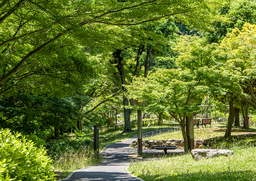 富岡総合公園(徒歩9分/約710m)